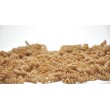 Pâtes italiennes FUSILLI blé ancien biologique Senatore Cappelli