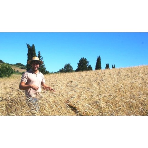 Pâtes FUSILLI au farro complet bio - Toscane