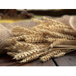 MD-PG-FUSILLI-BIO-500