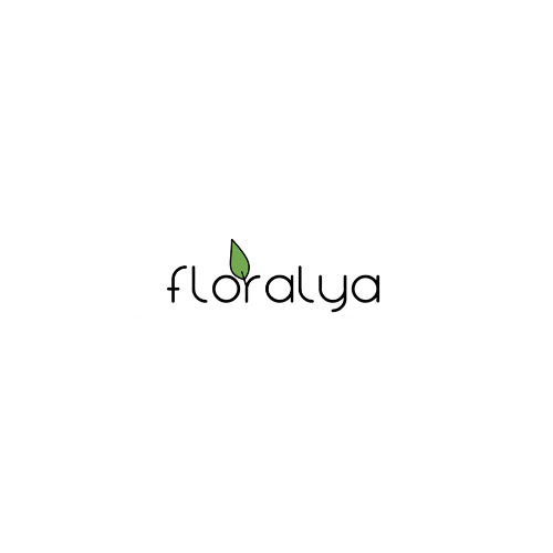 Correcteur Stick Naturel Floralya | Tenue Longue & Hydratant