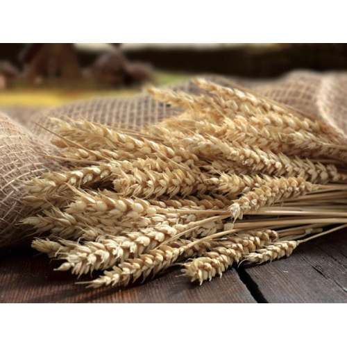 TAGLIATELLE-Nudeln aus altem italienischen Weizen TIMILIA BIO