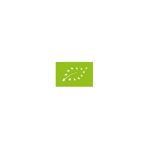 copy of