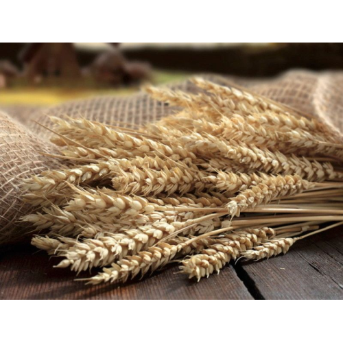 pasta BUSIATE ancient Italian wheat TIMILIA BIO - VALDIBELLA 0.5Kg