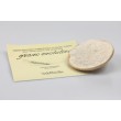 copy of MD-PG-FUSILLI-BIO-500