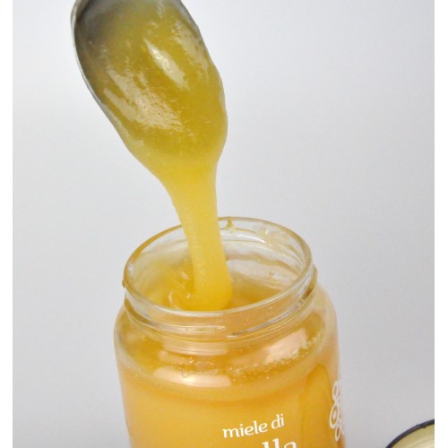 copy of SUCCO D'UVA ROSSA BIO da 200 mL
