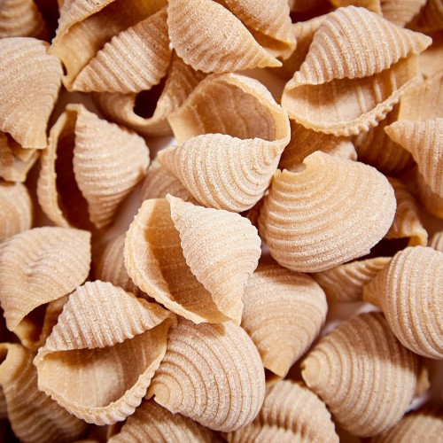 Organic ancient grain CONCHIGLIE pasta Senatore Cappelli 0,5Kg Tuscany