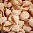 Pâtes italiennes COQUILLAGES blé ancien biologique Senatore Cappelli