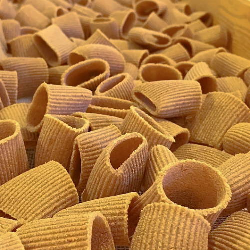 Pâtes italiennes DEMI-PACCHERI blé ancien biologique Senatore Cappelli