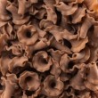 GIGLI de Farro Entier Biologique - Mulino Val d'Orcia Toscane 500gr