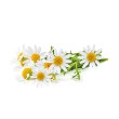 Detergente Intimo alla Camomilla 250 ml | Delicato e Vegano