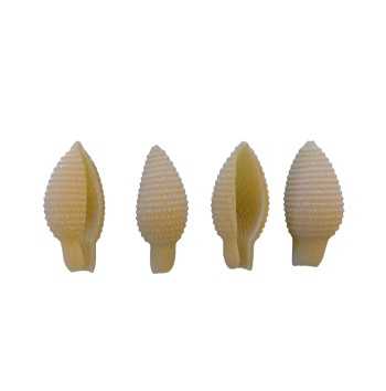 Pasta Cipressini BIO Senatore Cappelli 0,3 Kg – Mulino Val d'Orcia